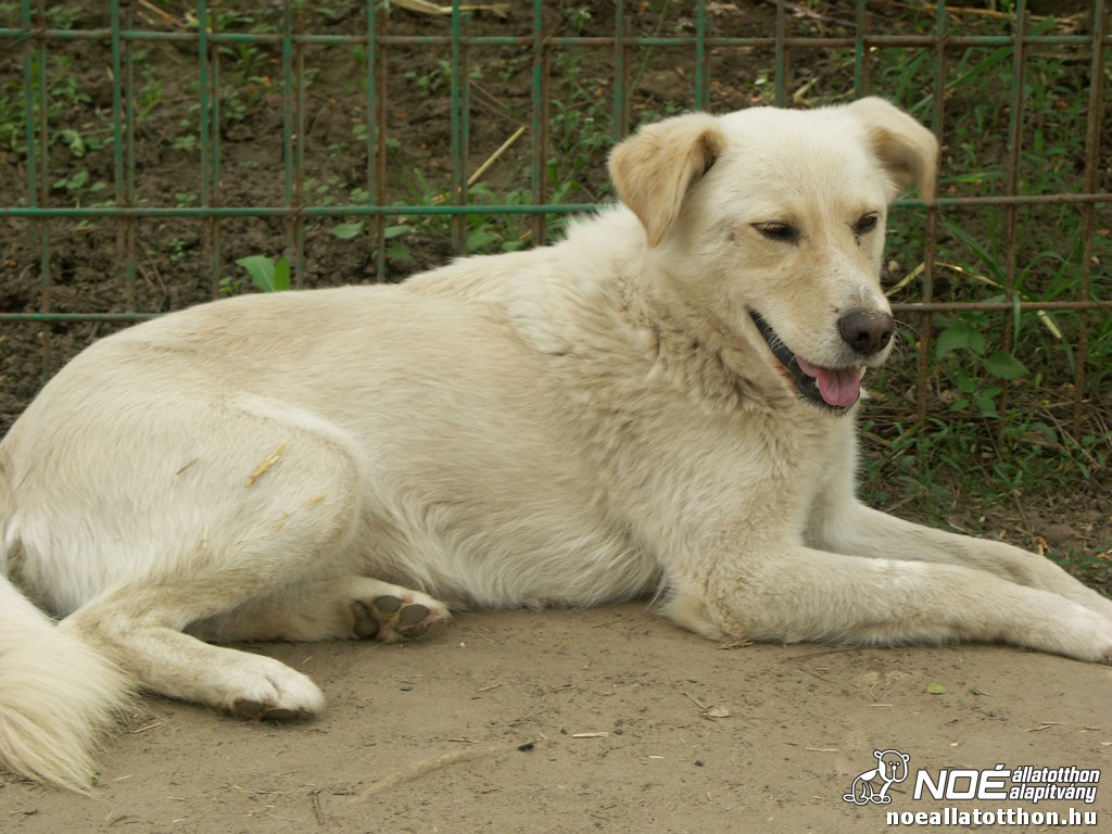pict2721.jpg