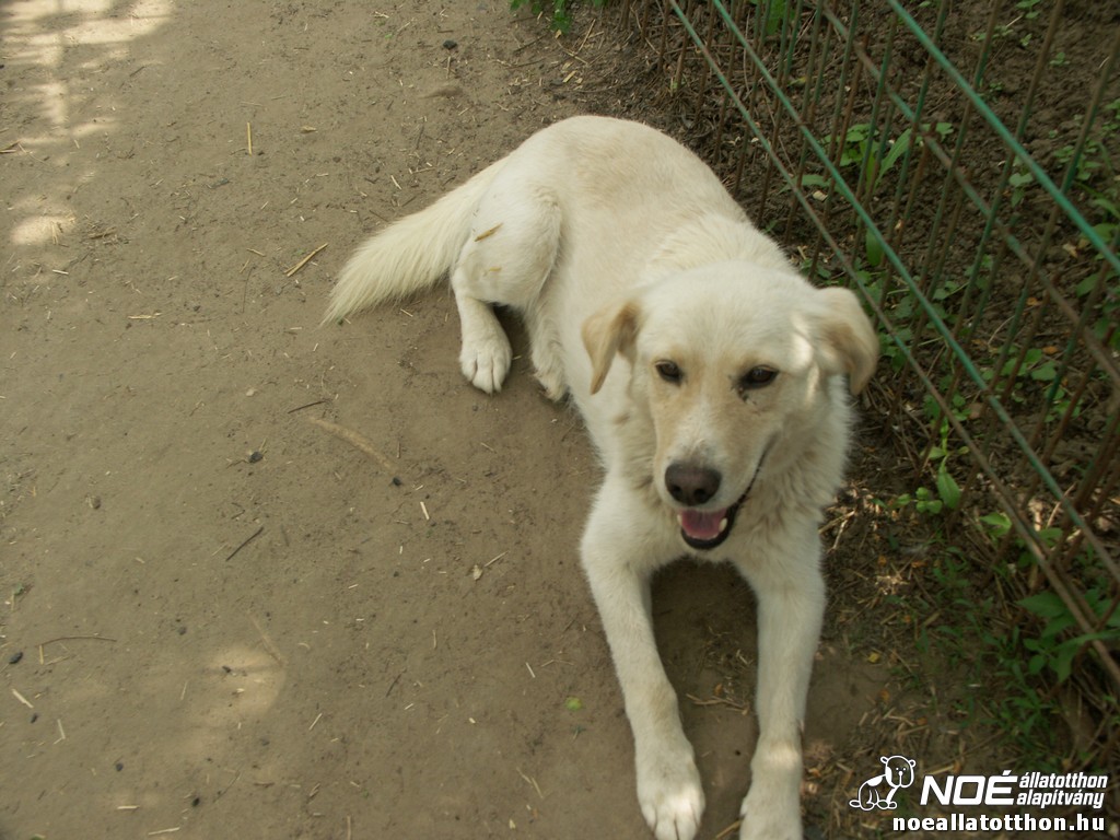 pict2728.jpg