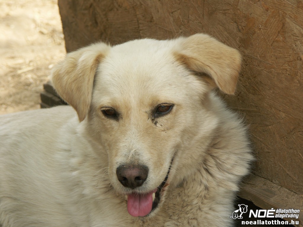 pict2743.jpg