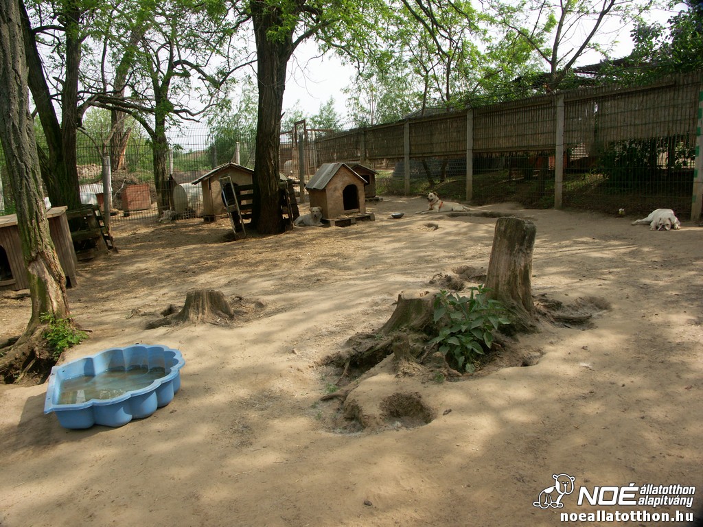 pict2750.jpg