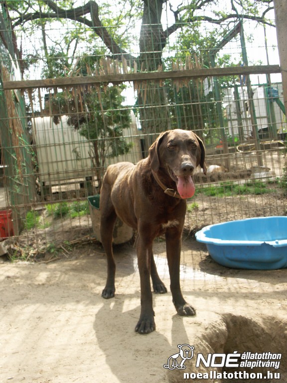 pict2758.jpg