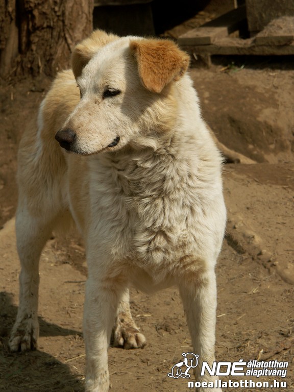 pict2768.jpg