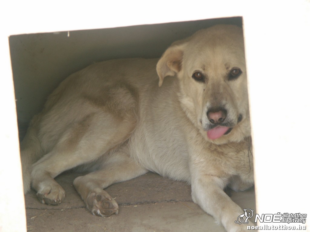 pict2775.jpg
