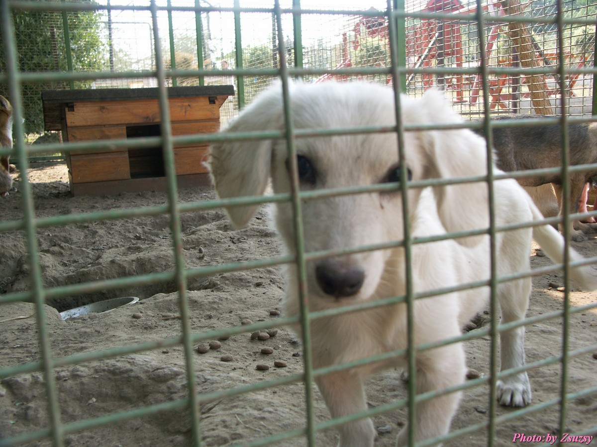 pict6702.jpg