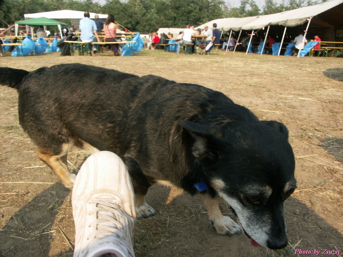 pict7264.jpg