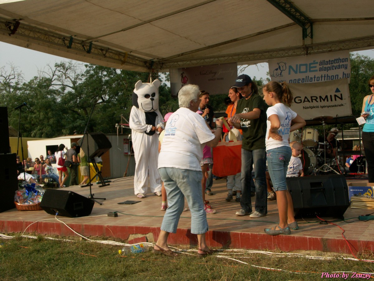 pict7335.jpg