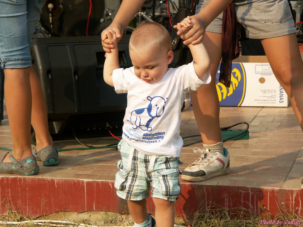 pict7339.jpg