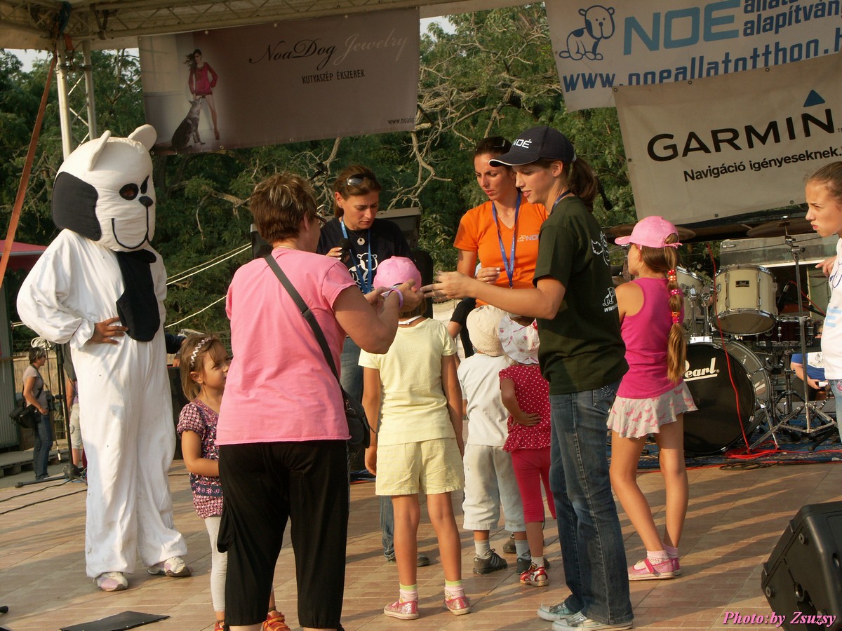 pict7356.jpg