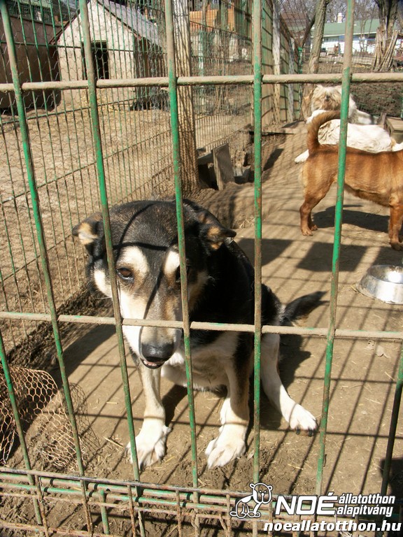 pict9867.jpg