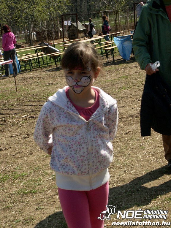 pict9990.jpg