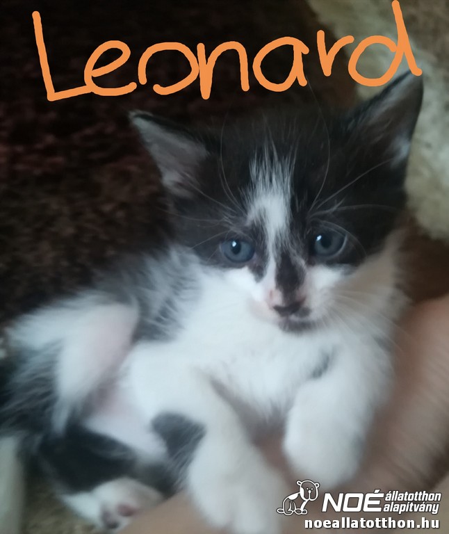 leonard_0416_01.jpg