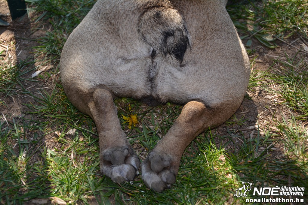 dsc_0697.jpg