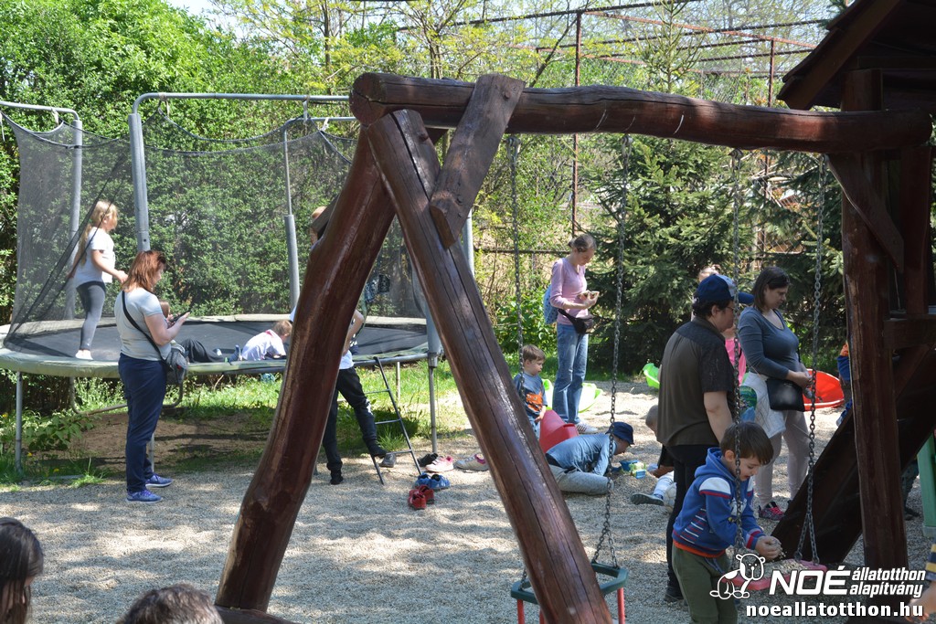 dsc_0713.jpg