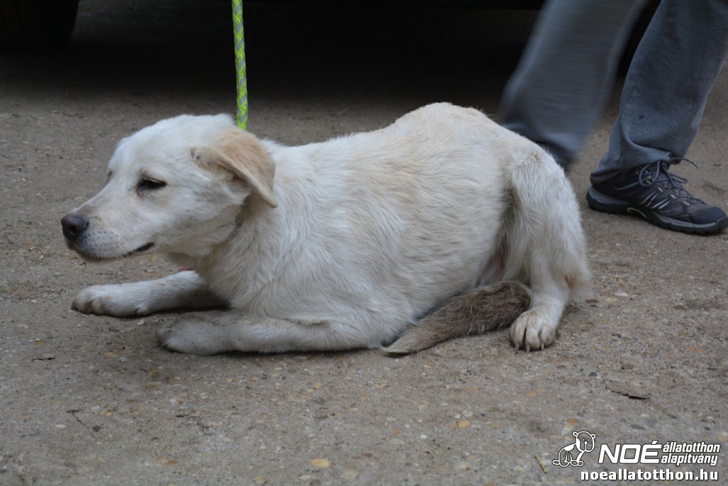dsc_0524.jpg