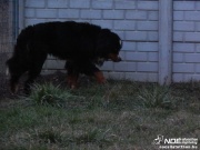 dscn4060.jpg