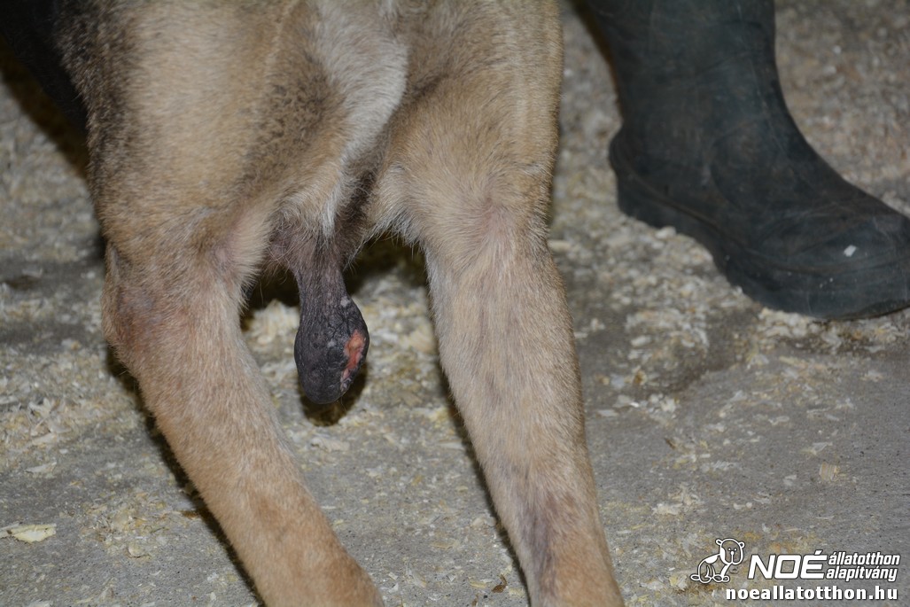 dsc_0922_2.jpg