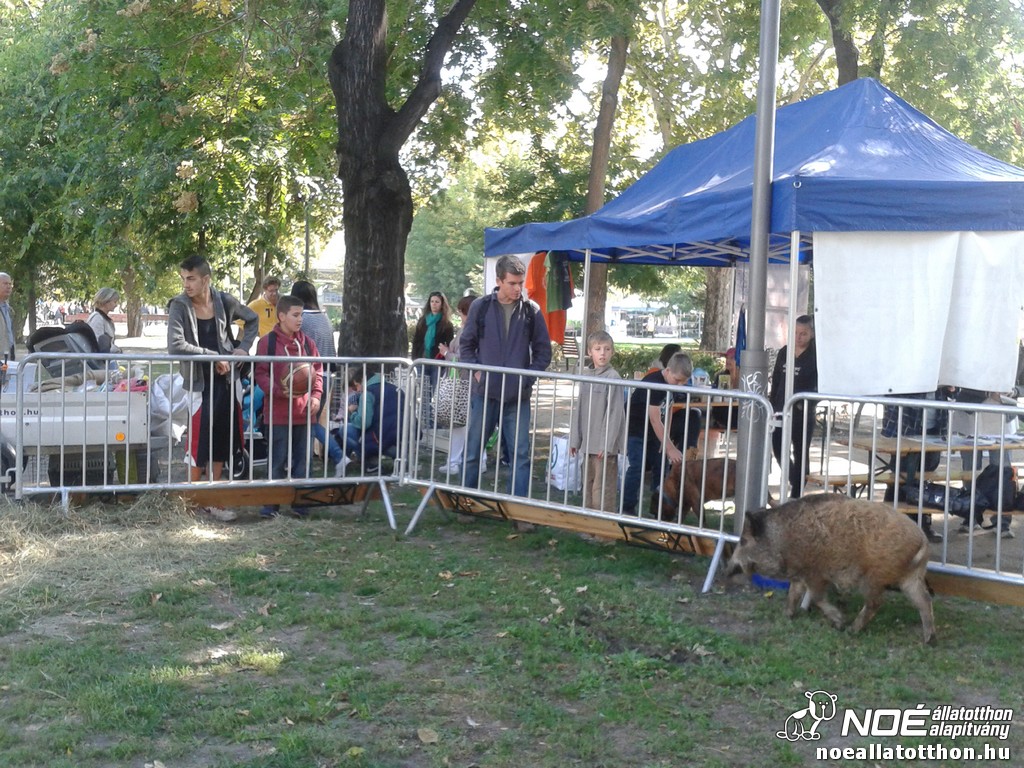 20130928_111215.jpg