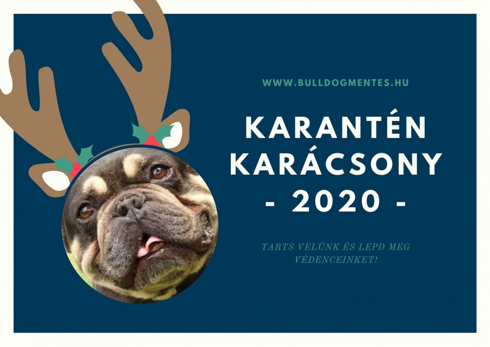 karantenkaracsony_1.jpg