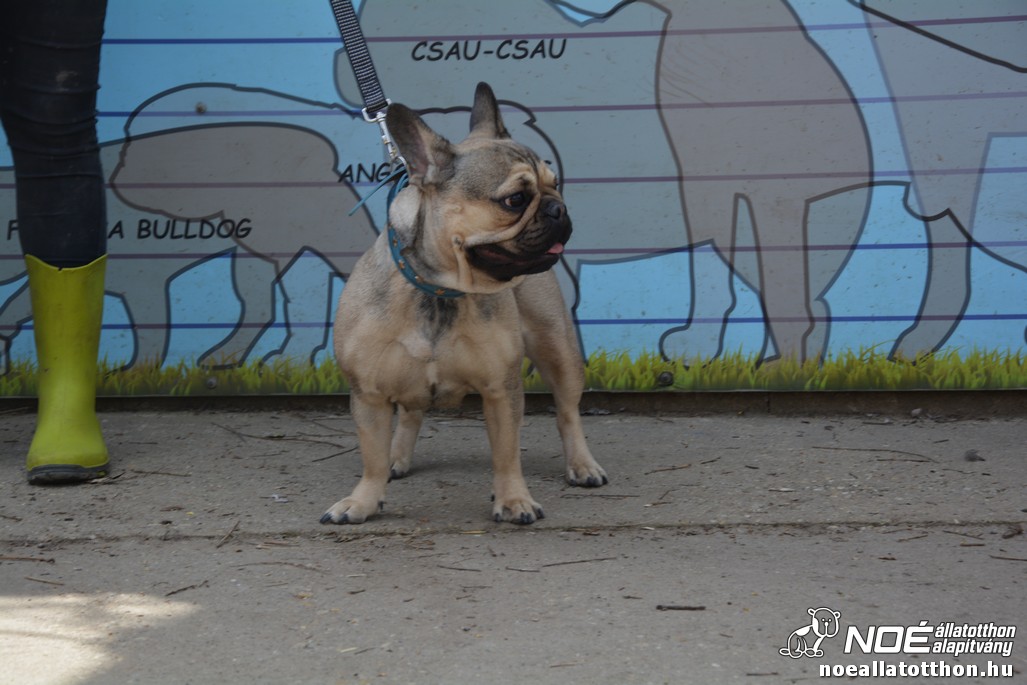 dsc_0477.jpg