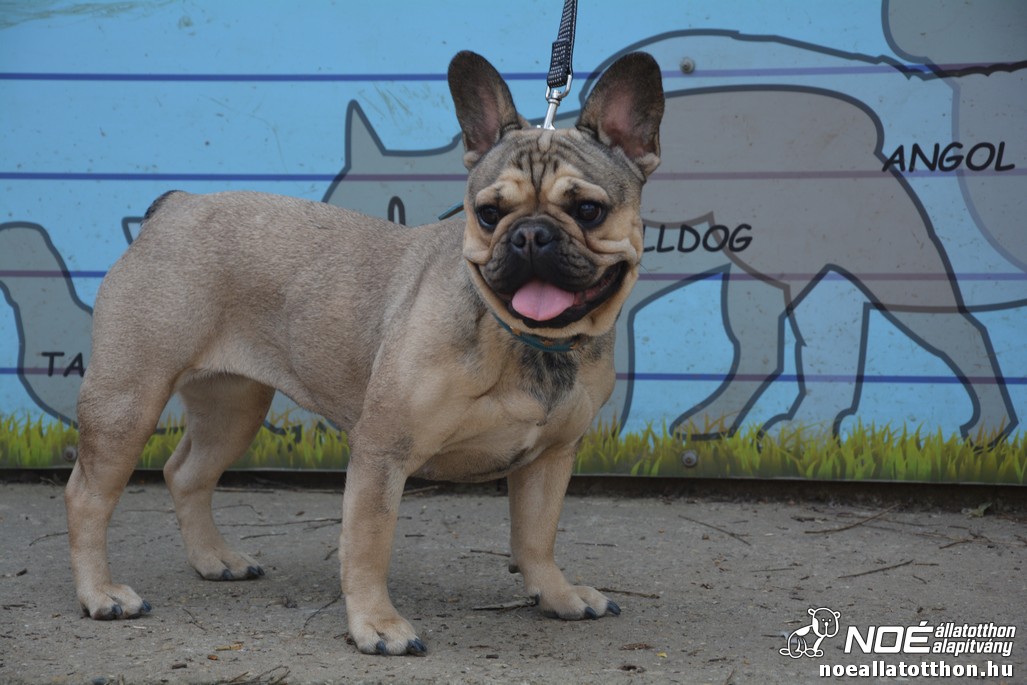 dsc_0482.jpg