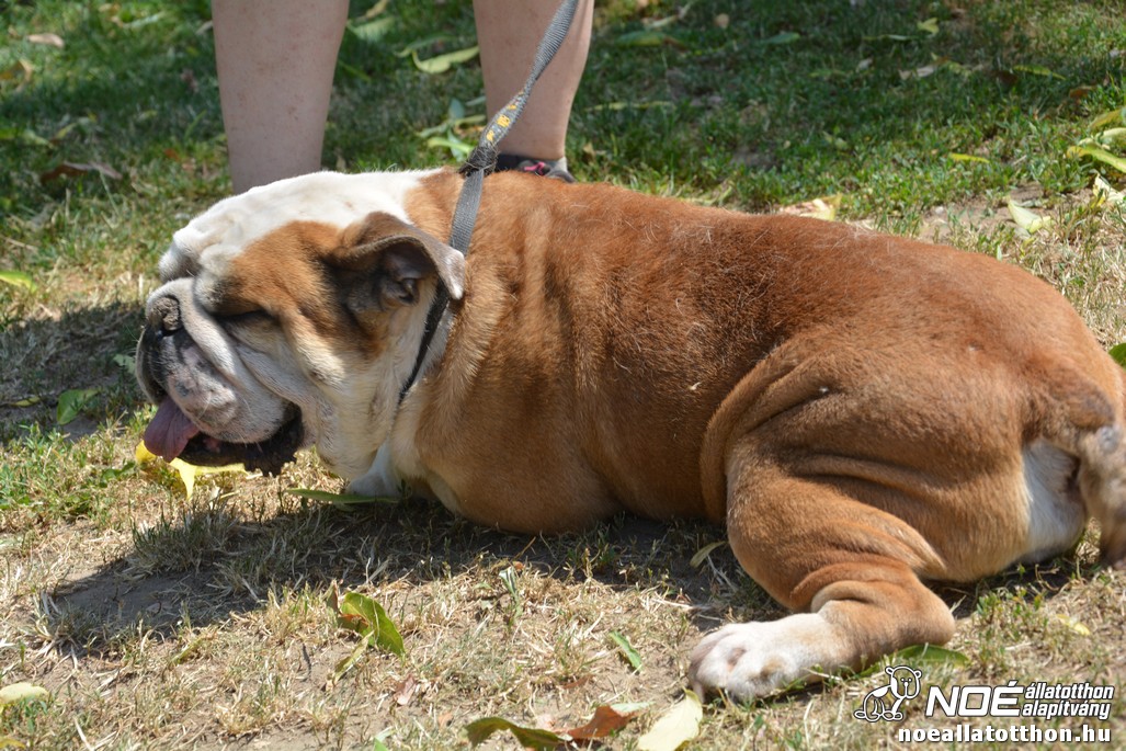 dsc_0358.jpg