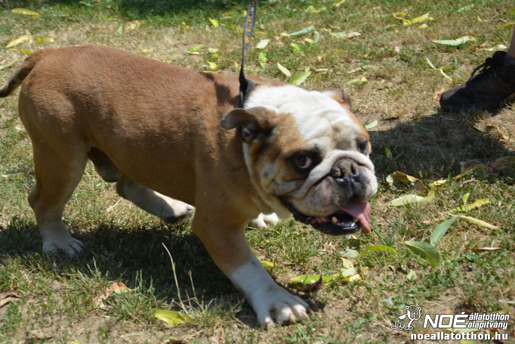 dsc_0364.jpg