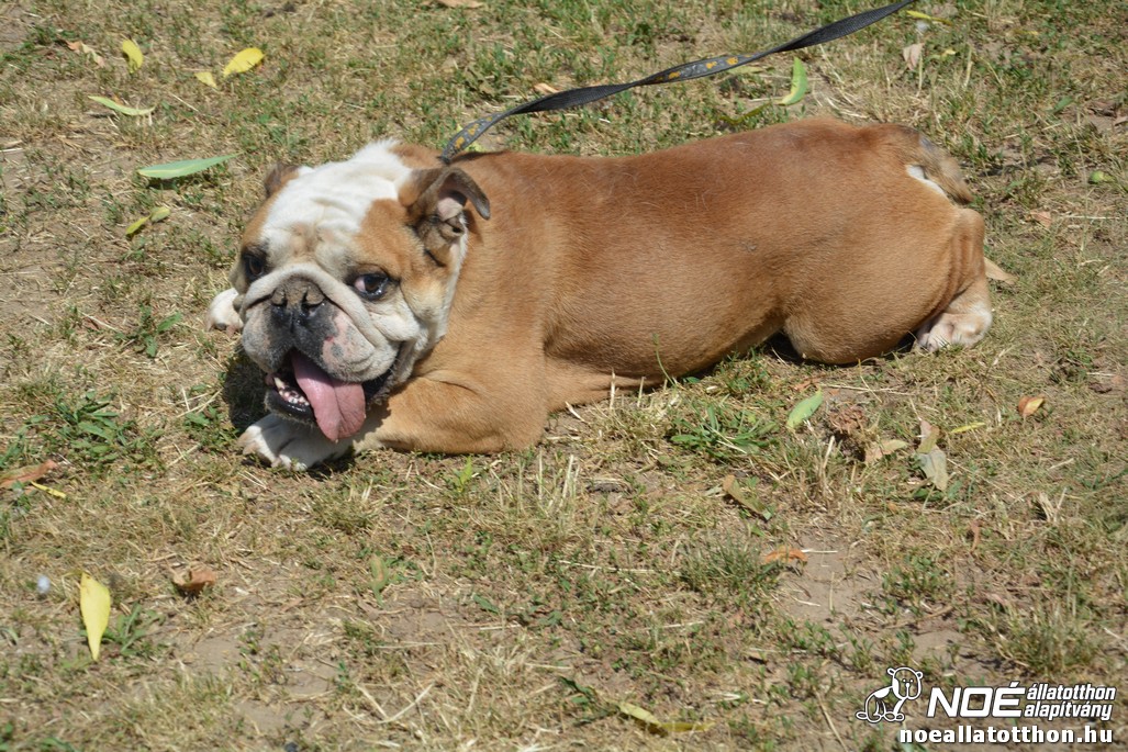 dsc_0365.jpg