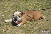 dsc_0367.jpg