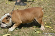 dsc_0373.jpg