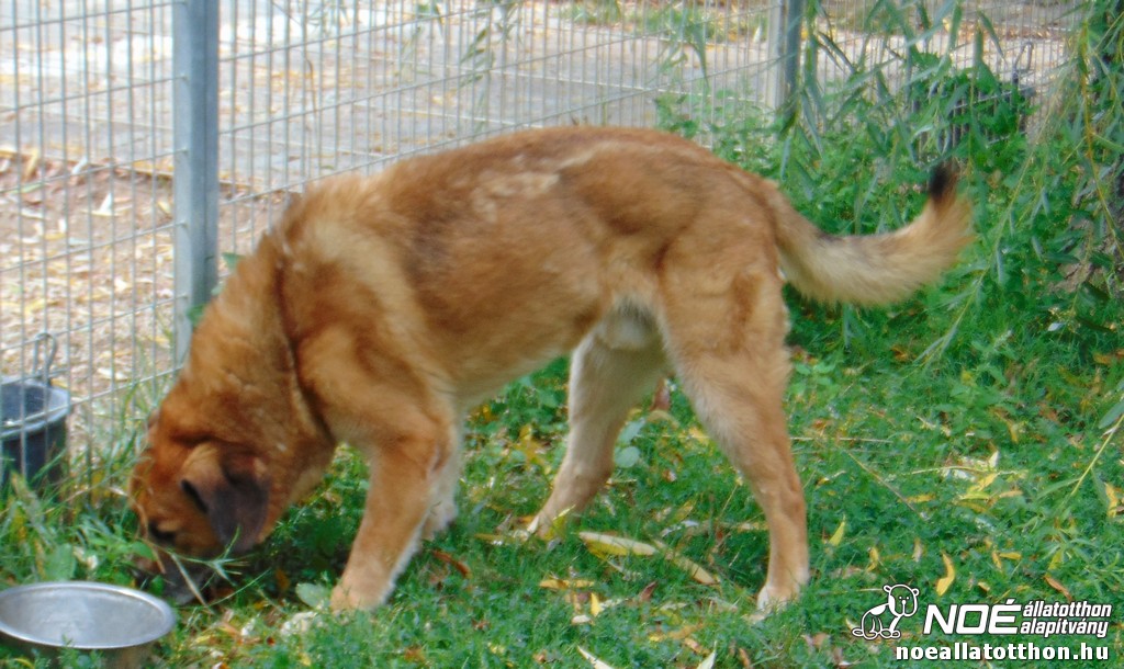 dsc00718.jpg