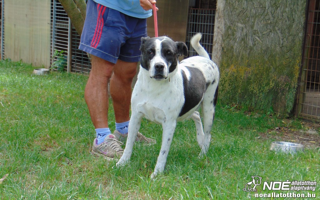 dsc00787.jpg