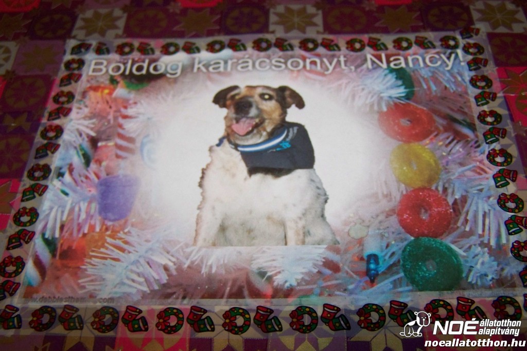 100_5716.jpg