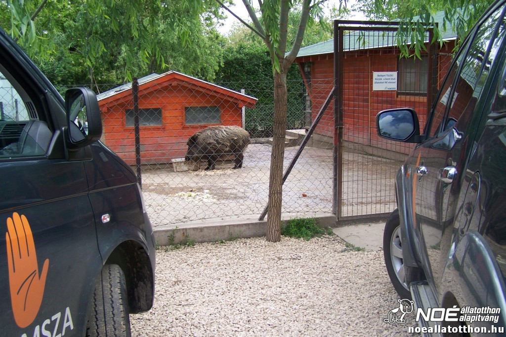 100_6327.jpg