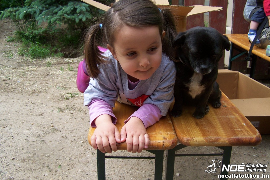 100_6347.jpg