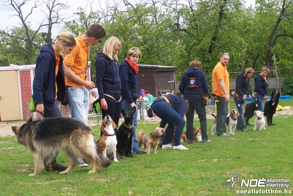 100_6365.jpg