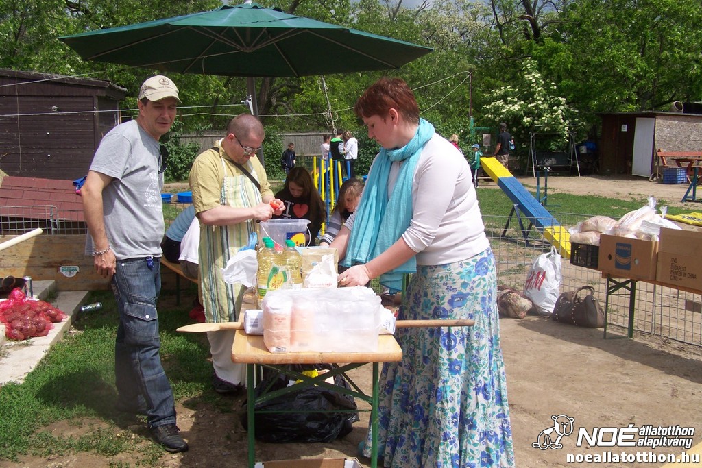 100_6381.jpg