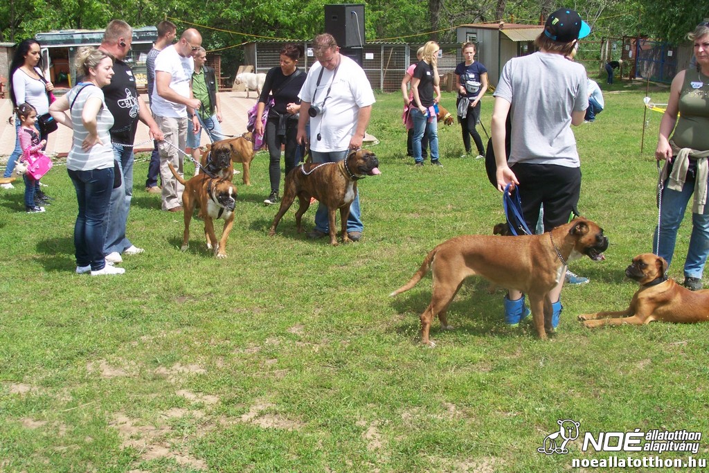 100_6388.jpg