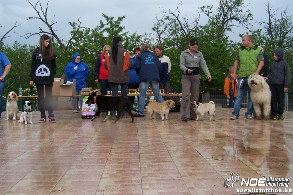 100_6442.jpg