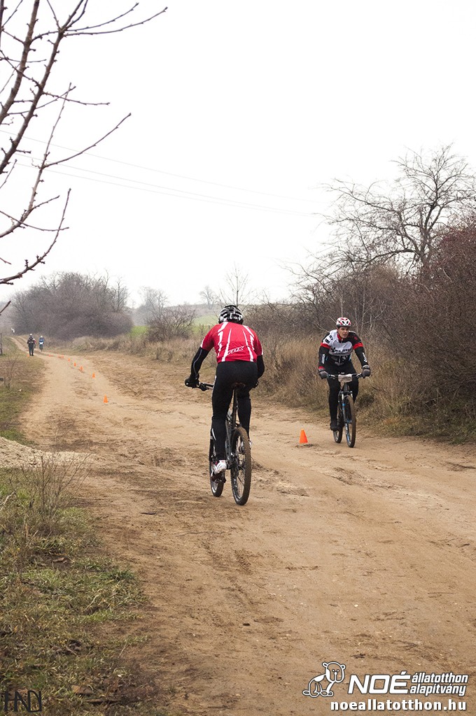 buekkupa20140101_102.jpg