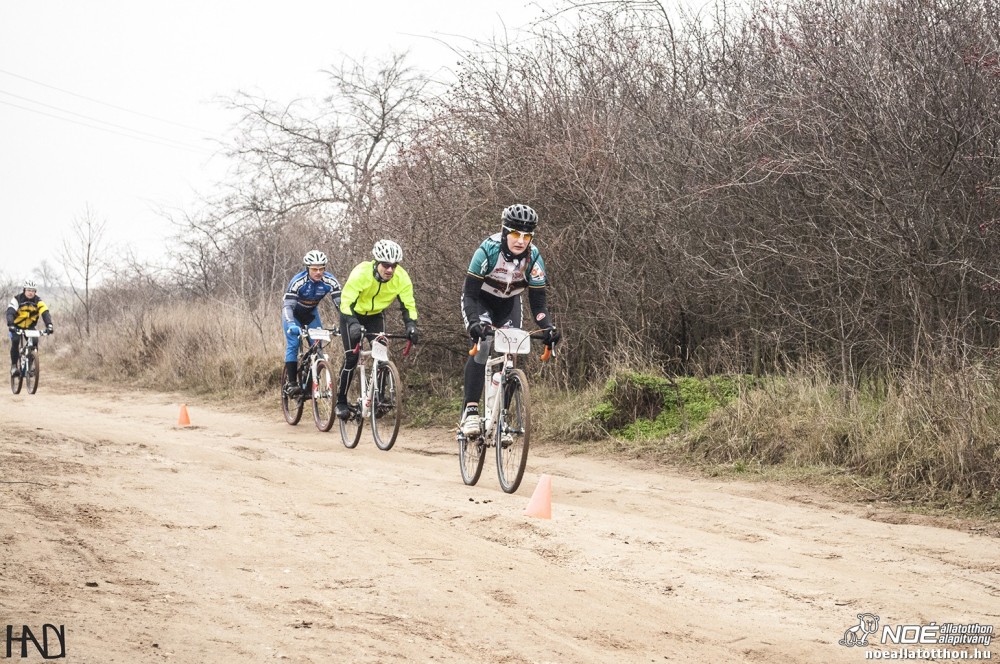 buekkupa20140101_105.jpg