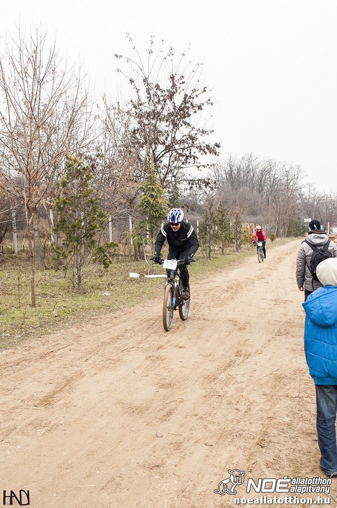 buekkupa20140101_118.jpg