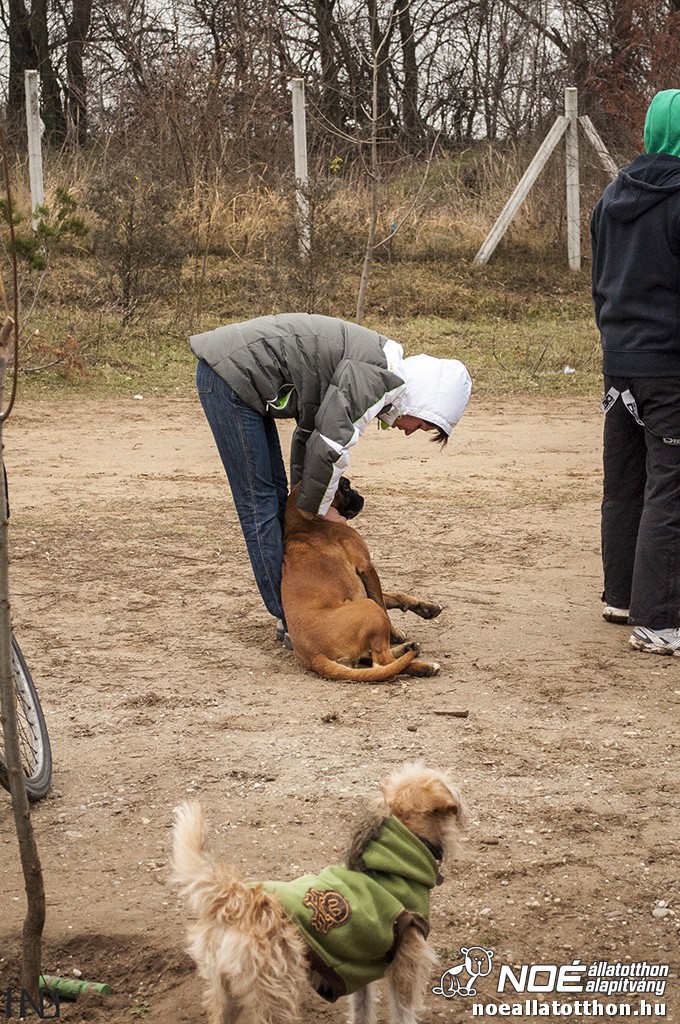 buekkupa20140101_12.jpg