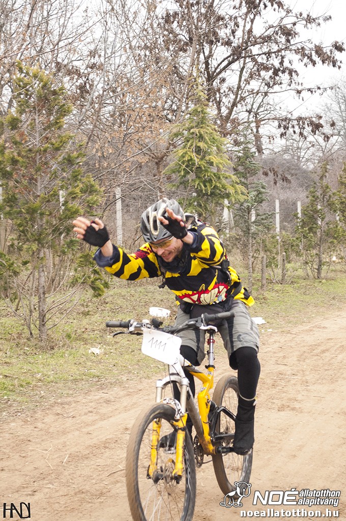 buekkupa20140101_120.jpg