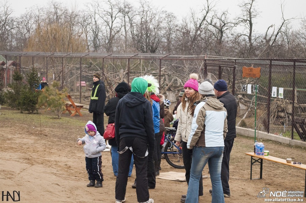 buekkupa20140101_121.jpg