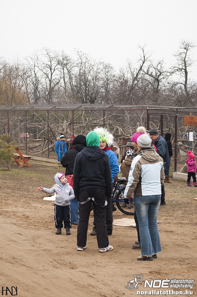 buekkupa20140101_123.jpg