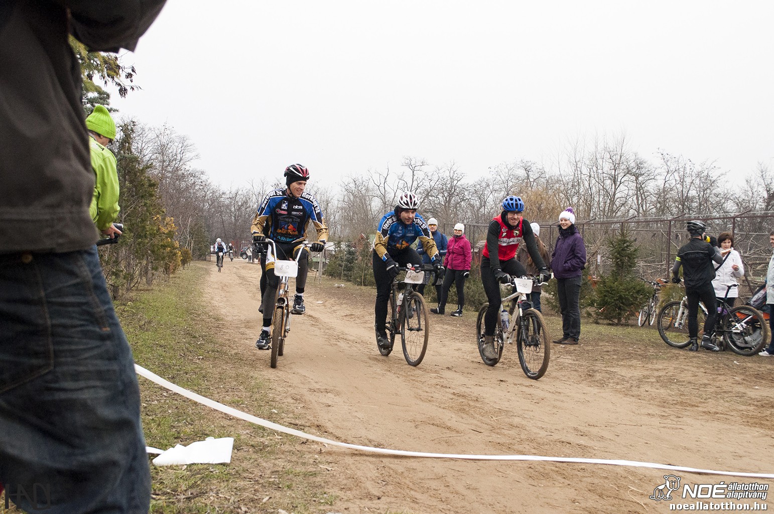 buekkupa20140101_144.jpg