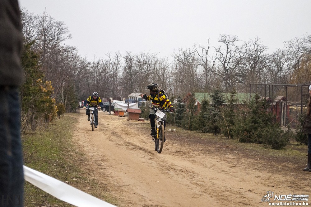 buekkupa20140101_150.jpg