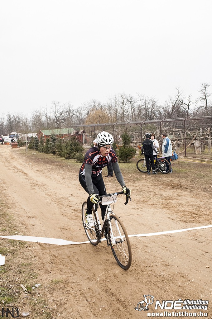 buekkupa20140101_152.jpg