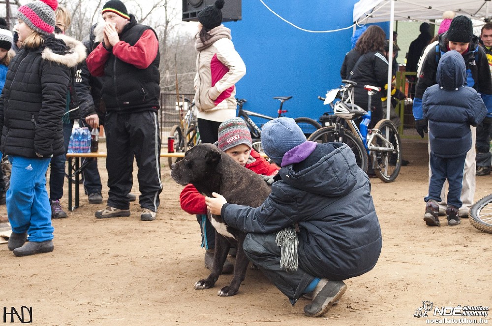 buekkupa20140101_167.jpg