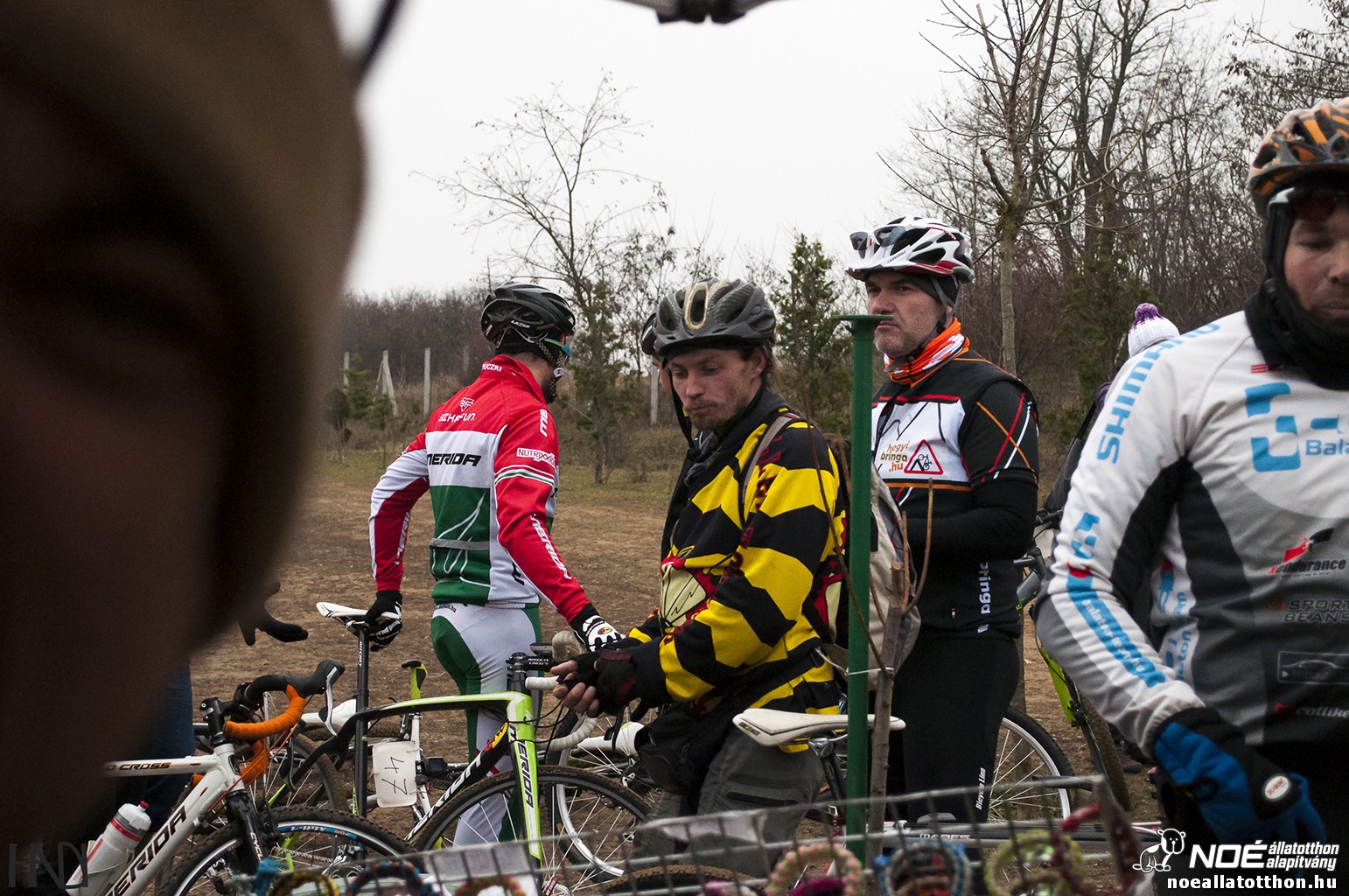 buekkupa20140101_168.jpg